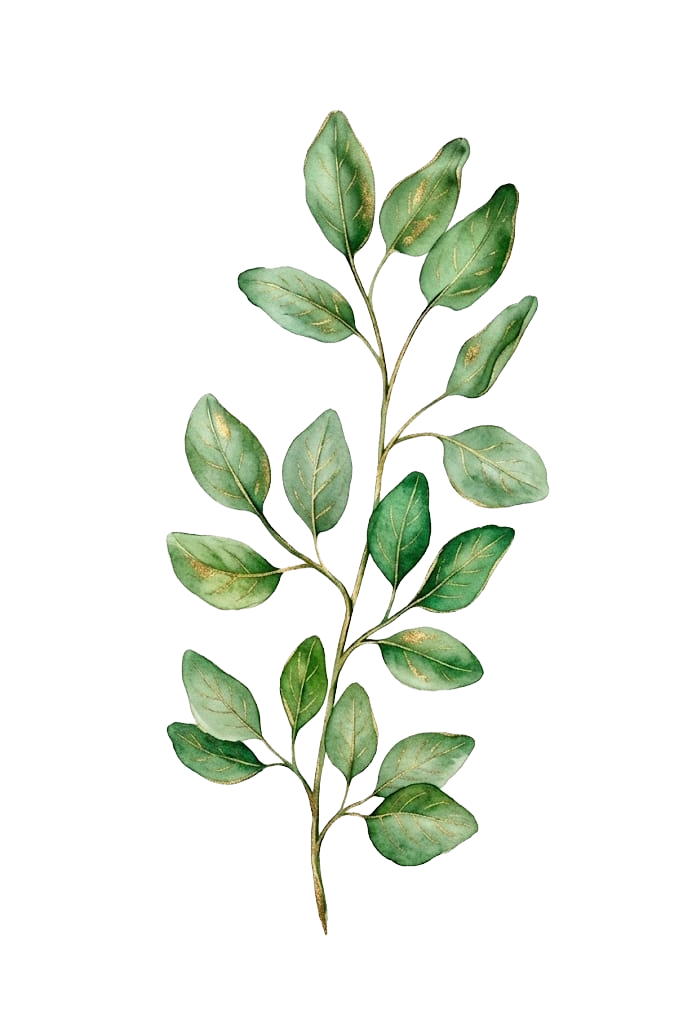Folha decorativa verde