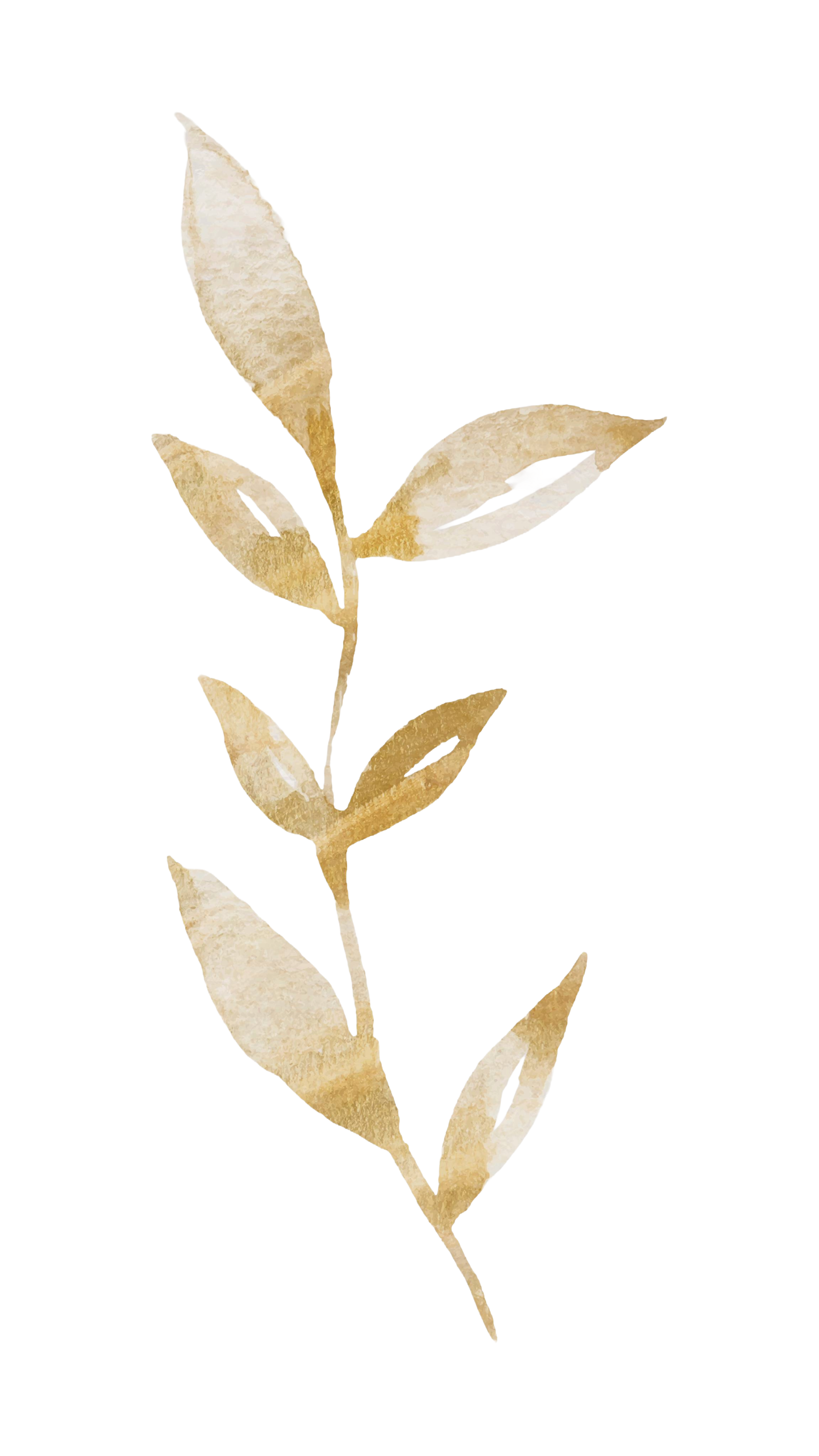 Folha decorativa dourada